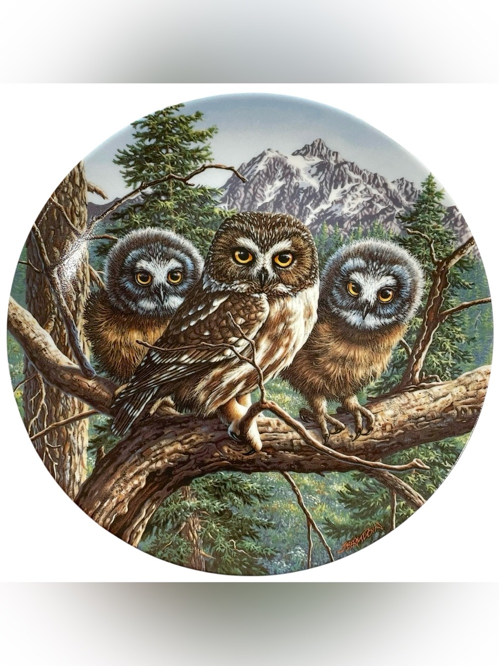 Vintage 1990s Vast View Saw-Whet Owls Collectors Plate by Artist Jim Beaudoin